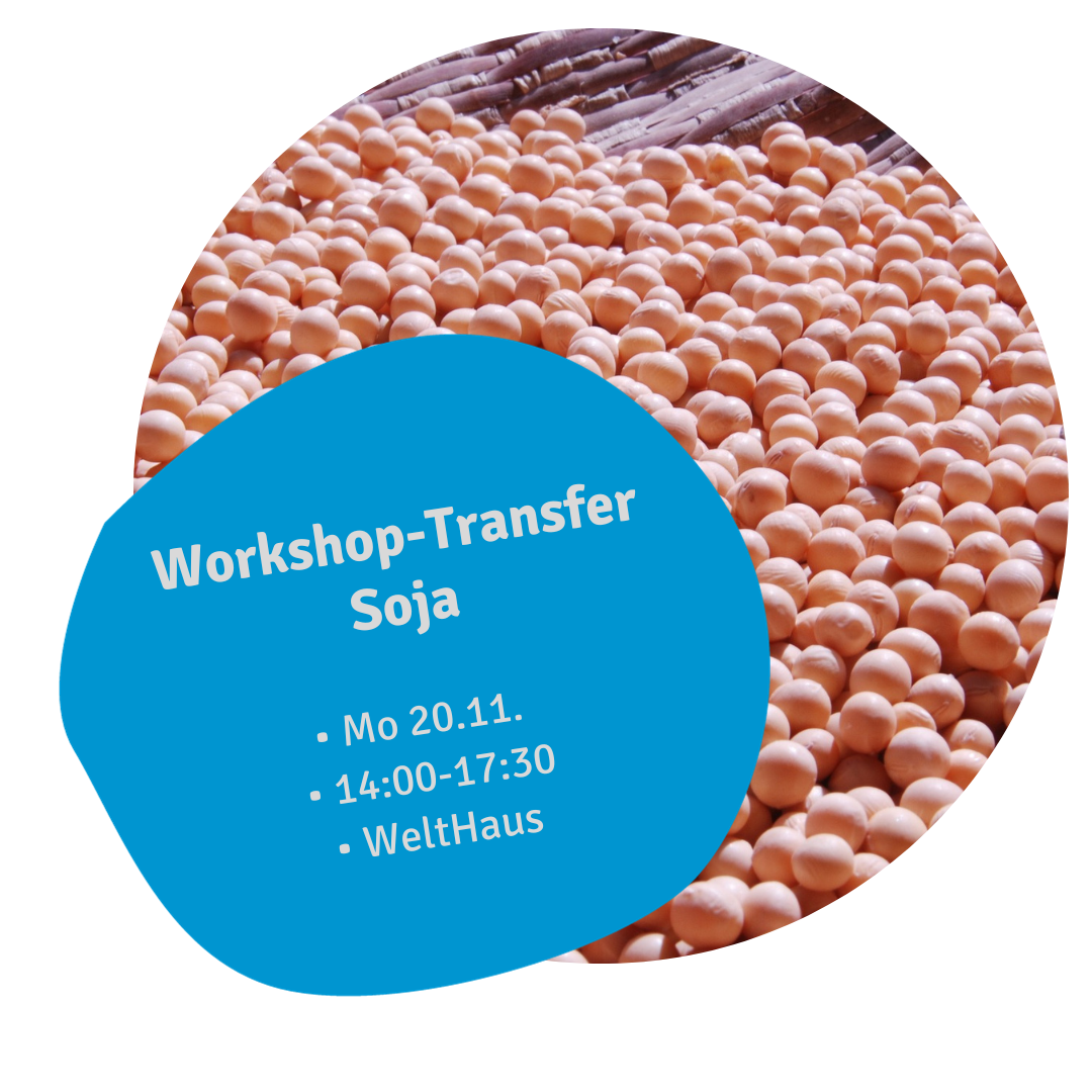 20.11.23: Workshop-Transfer: Soja. So nein! So doch?...